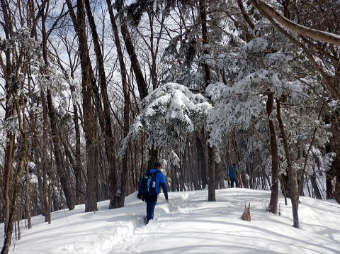 2017.4.2　三頭山（尾根歩き）
