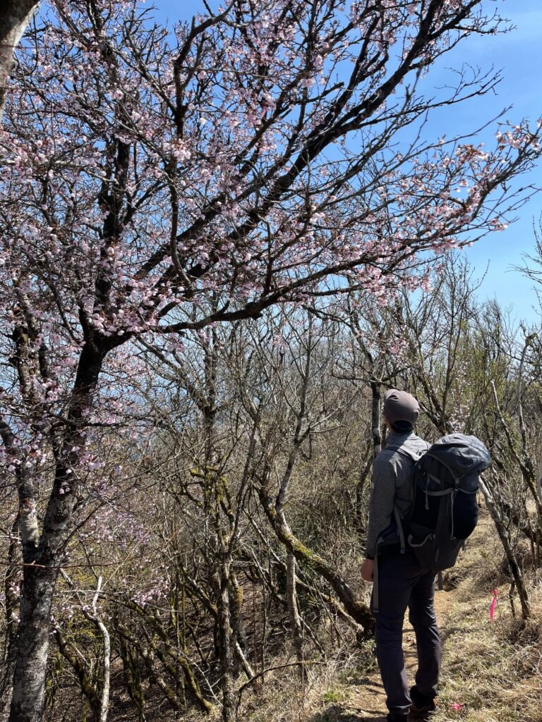 2026.04.12　葛葉川本谷（沢登り）