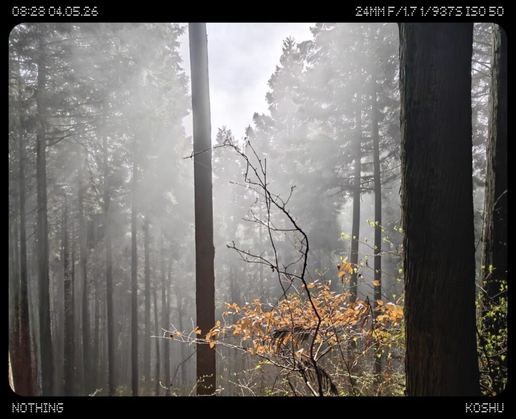 2026.4.5 奥多摩トレーニング(尾根歩き)