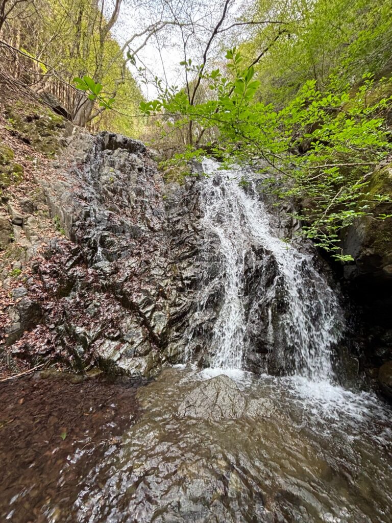 2026.04.12　葛葉川本谷（沢登り）