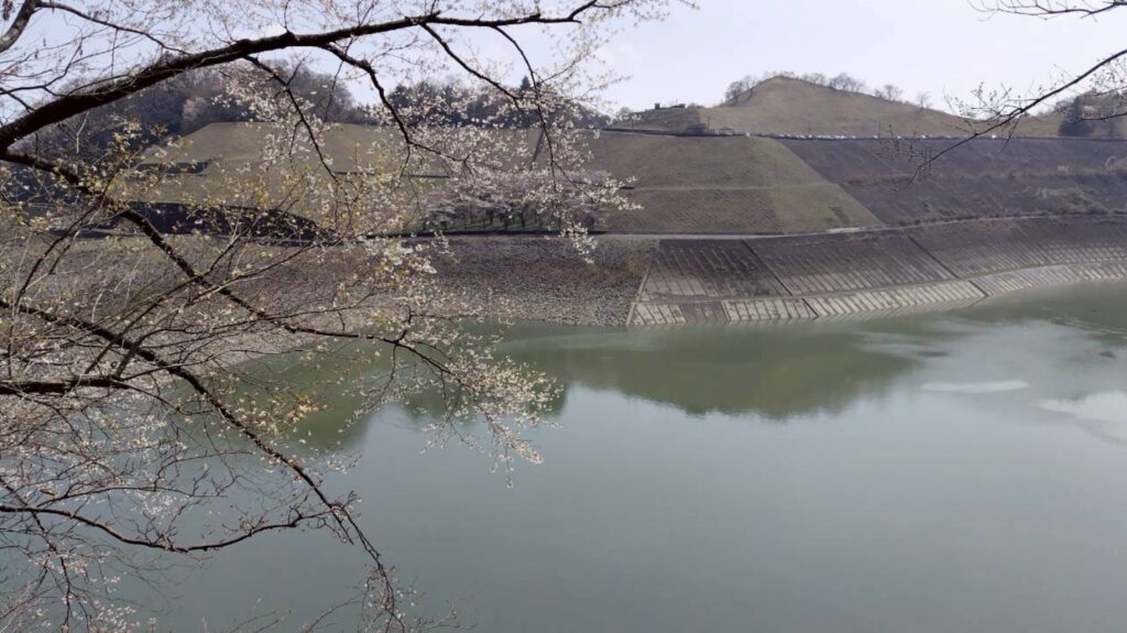 2026.3.29　草戸山〜カタクリの里（ハイキング）