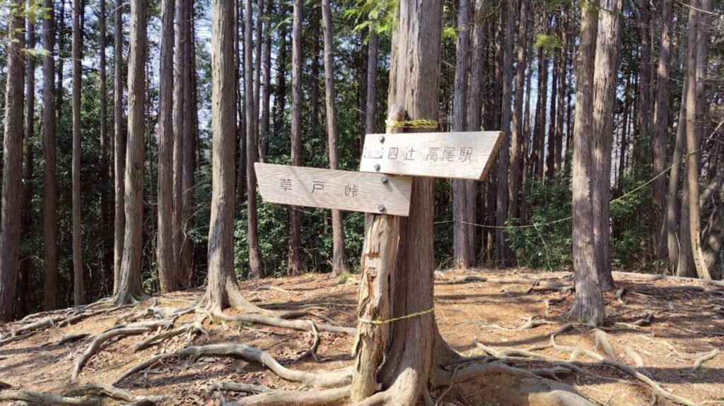 2026.3.29　草戸山〜カタクリの里（ハイキング）