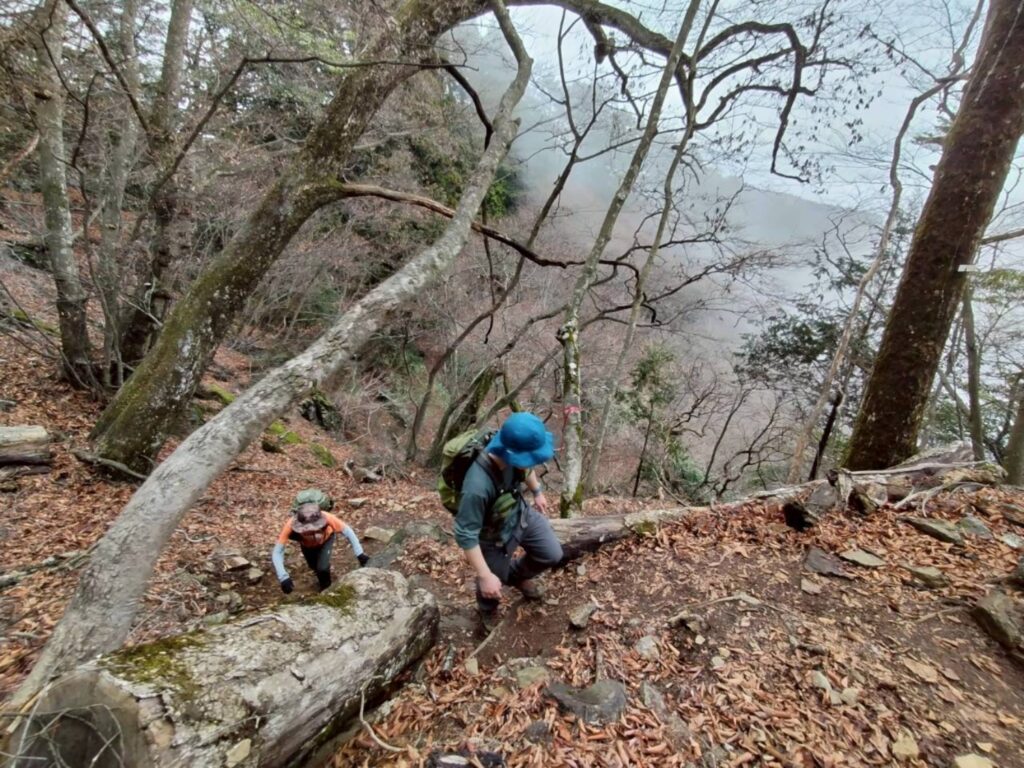 2026.4.5 奥多摩トレーニング(尾根歩き)