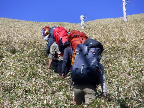 2020.11.7-8　徳和川〜大ダオ〜黒金山（尾根歩き・その他）