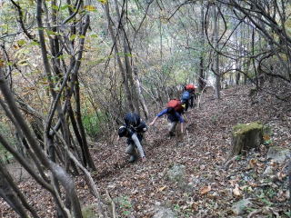 2020.11.7-8　徳和川〜大ダオ〜黒金山（尾根歩き・その他）