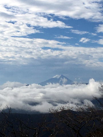 2020.11.7-8　雲取山（尾根歩き）