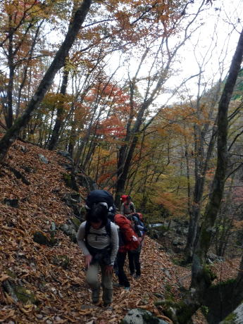 2020.11.7-8　徳和川〜大ダオ〜黒金山（尾根歩き・その他）