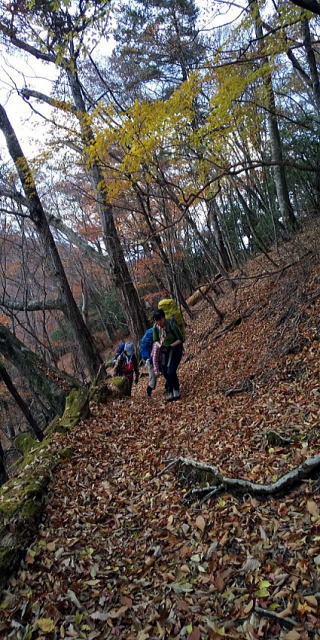 2020.11.7-8　雲取山（尾根歩き）