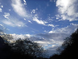 2020.11.7-8　徳和川〜大ダオ〜黒金山（尾根歩き・その他）