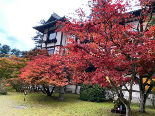 2020.11.3　日光・火戸尻山～鳴虫山（バリエーション）