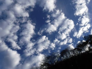 2020.11.7-8　徳和川〜大ダオ〜黒金山（尾根歩き・その他）