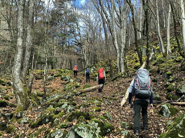 2020.11.7-8　徳和川〜大ダオ〜黒金山（尾根歩き・その他）