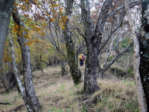 2020.10.25 水無川本谷(沢登り)