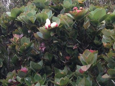 IMG_7167_R