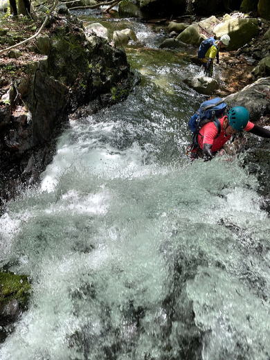 2022.6.19　小菅川本谷（沢登り）
