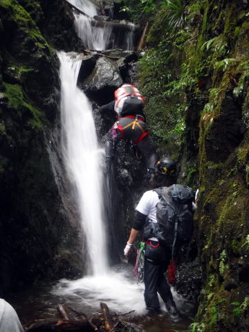 2022.7.17　モミソ沢（沢登り）