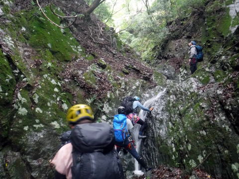 2022.7.17　モミソ沢（沢登り）