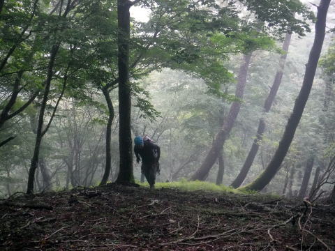 2022.7.17　モミソ沢（沢登り）