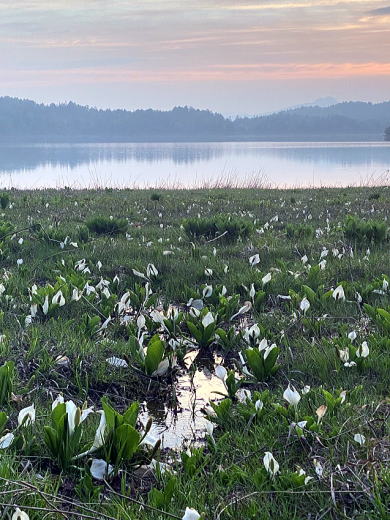 2022.6.18-19　燧ヶ岳（尾根歩き）
