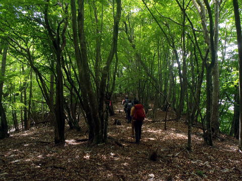 2022.6.5 御前山(尾根歩き)