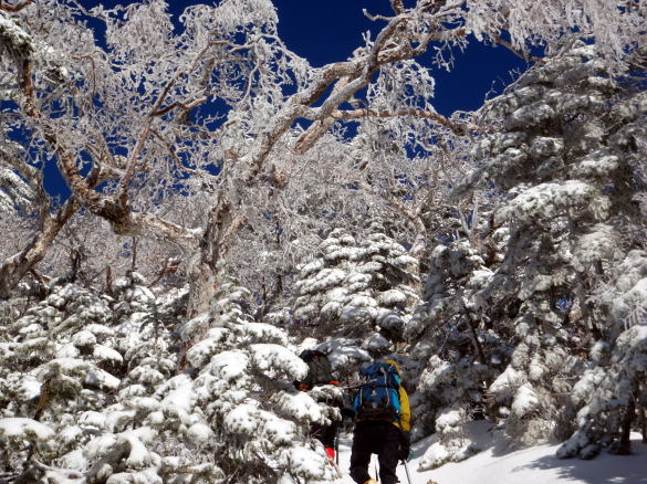 2016.2.20-21　八ヶ岳 権現岳（雪山）
