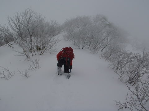 2016.1.10-11　谷川岳（雪山）