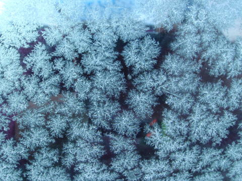 2016.1.17　白毛門（雪山）