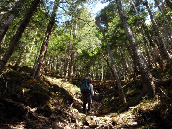 2016.5.28-29　釜ノ沢西俣（沢登り）
