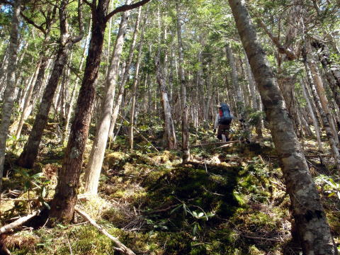 2016.5.28-29　釜ノ沢西俣（沢登り）