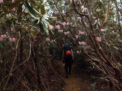 2016.5.28-29　釜ノ沢西俣（沢登り）