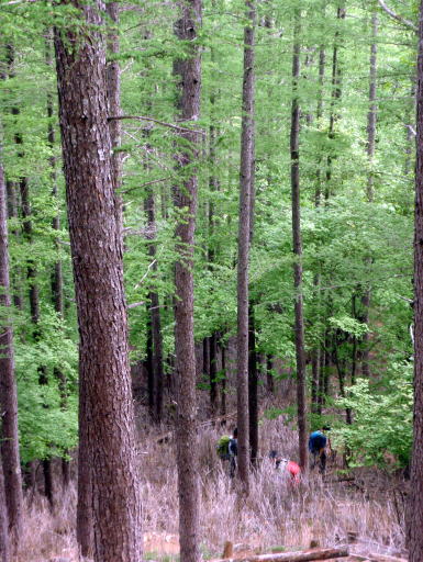 2016.5.28-29　釜ノ沢西俣（沢登り）