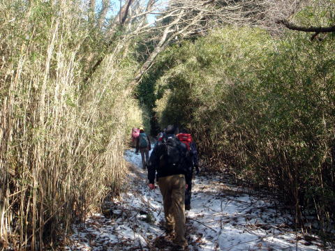 2015.1.4　湯河原幕山（尾根歩き・イベント）