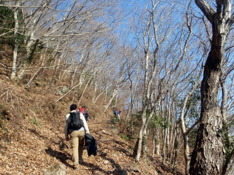 2015.1.4　湯河原幕山（尾根歩き・イベント）