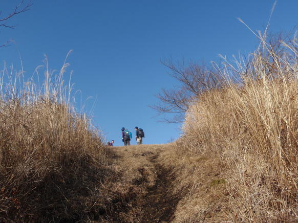 2015.1.4　湯河原幕山（尾根歩き・イベント）