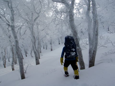 2015.1.11-12　甲子山（雪山）