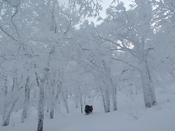 2015.1.11-12　甲子山（雪山）