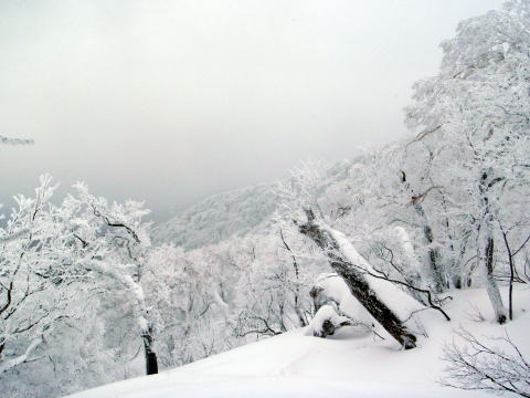 2015.1.11-12　甲子山（雪山）