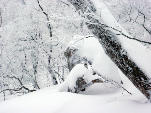 2015.1.11-12　甲子山（雪山）