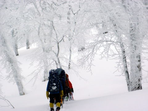 2015.1.11-12　甲子山（雪山）