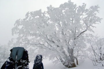2015.1.11-12　甲子山（雪山）