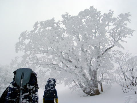 2015.1.11-12　甲子山（雪山）