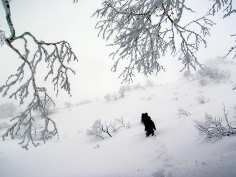 2015.1.11-12　甲子山（雪山）