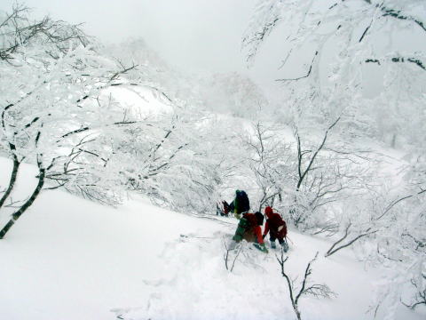 2015.1.11-12　甲子山（雪山）