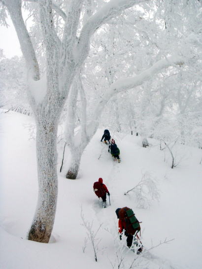 2015.1.11-12　甲子山（雪山）