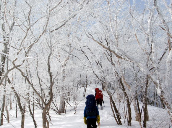 2015.1.11-12　甲子山（雪山）
