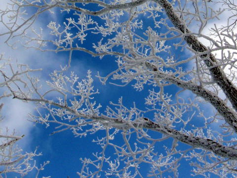2015.1.11-12　甲子山（雪山）
