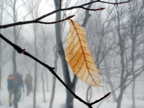 2015.4.11-12　巻機山（雪山）