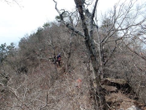 2015.4.19　本社ヶ丸（尾根歩き）