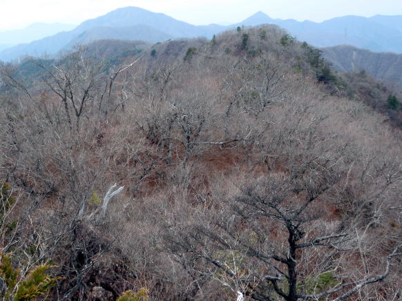 2015.4.19　本社ヶ丸（尾根歩き）