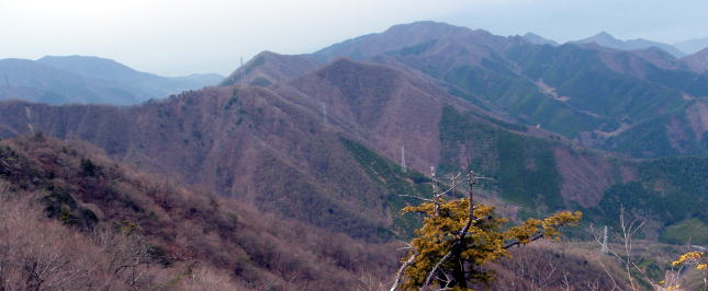 2015.4.19　本社ヶ丸（尾根歩き）